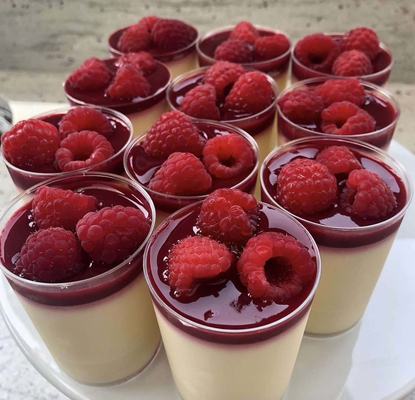 White Chocolate Raspberry Panna Cotta - Standard