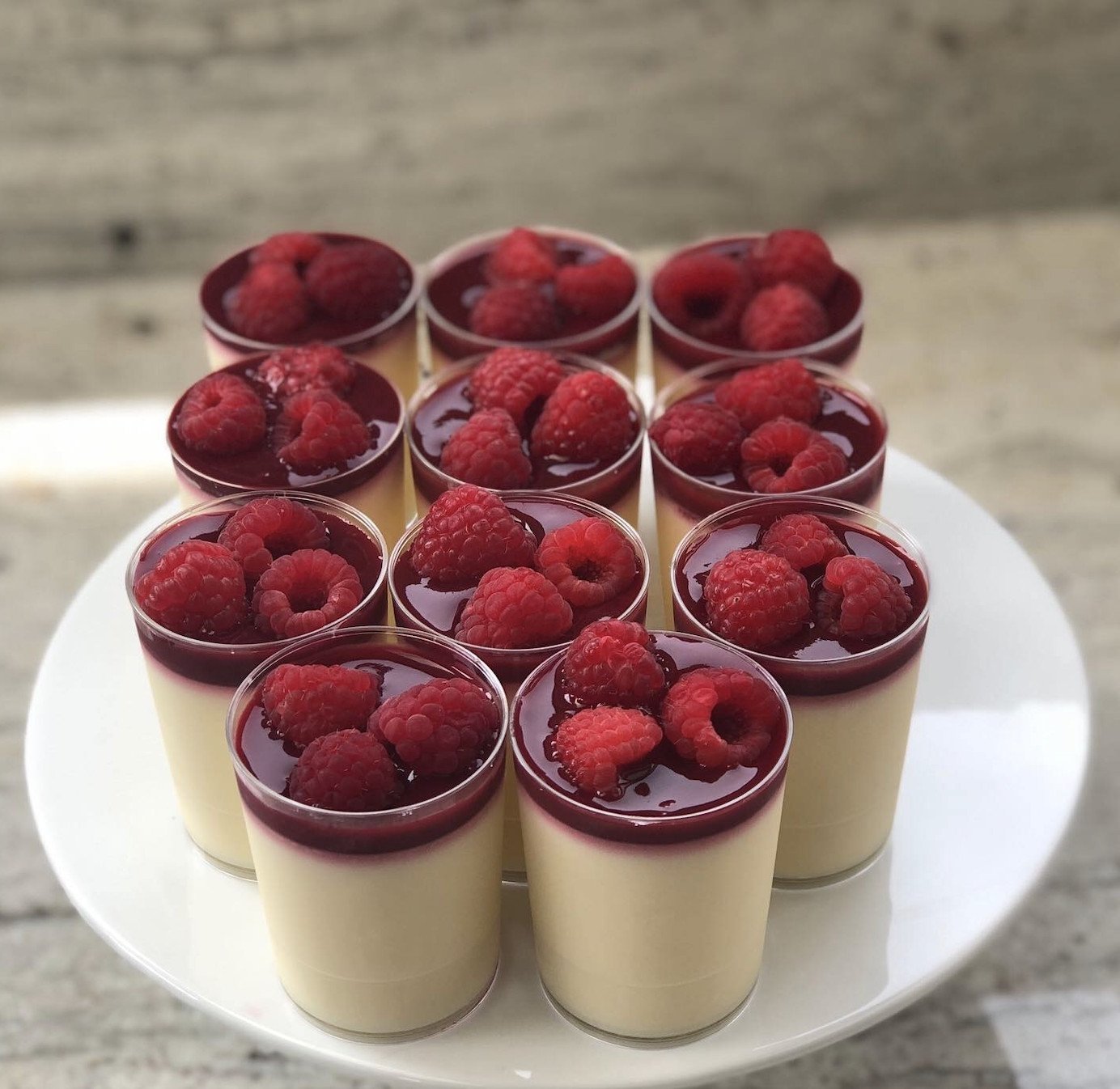 White Chocolate Raspberry Panna Cotta - Standard