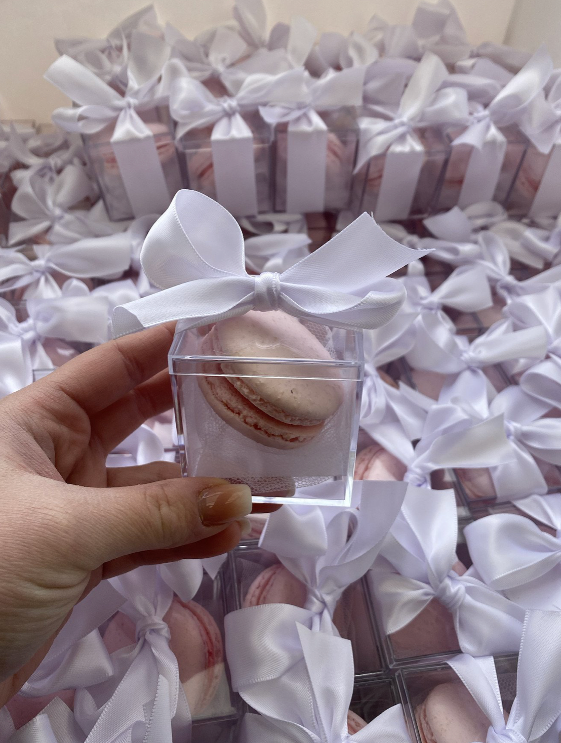 Individual Macaron Gift Favours
