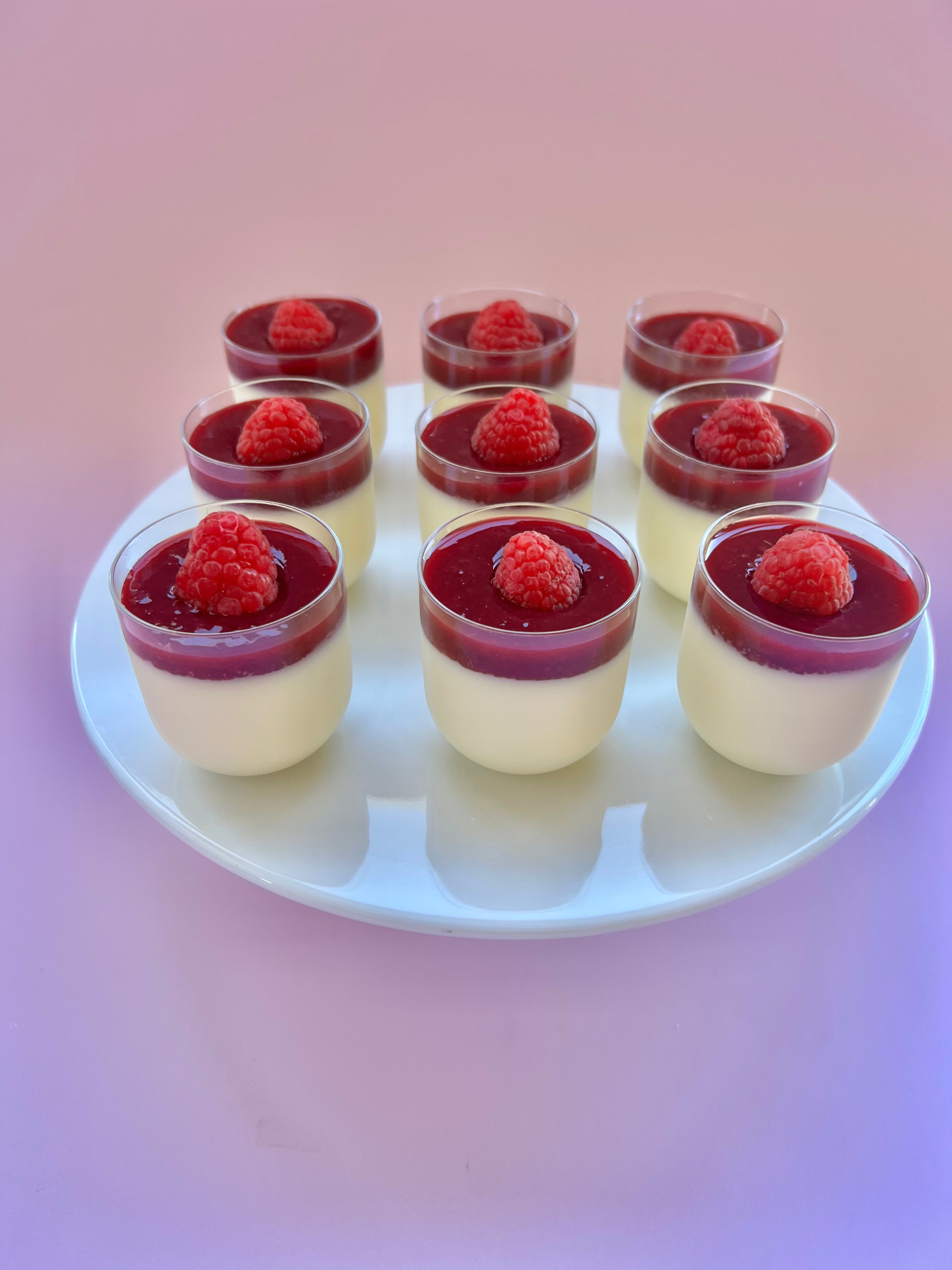 White Chocolate Raspberry Panna Cotta - Mini
