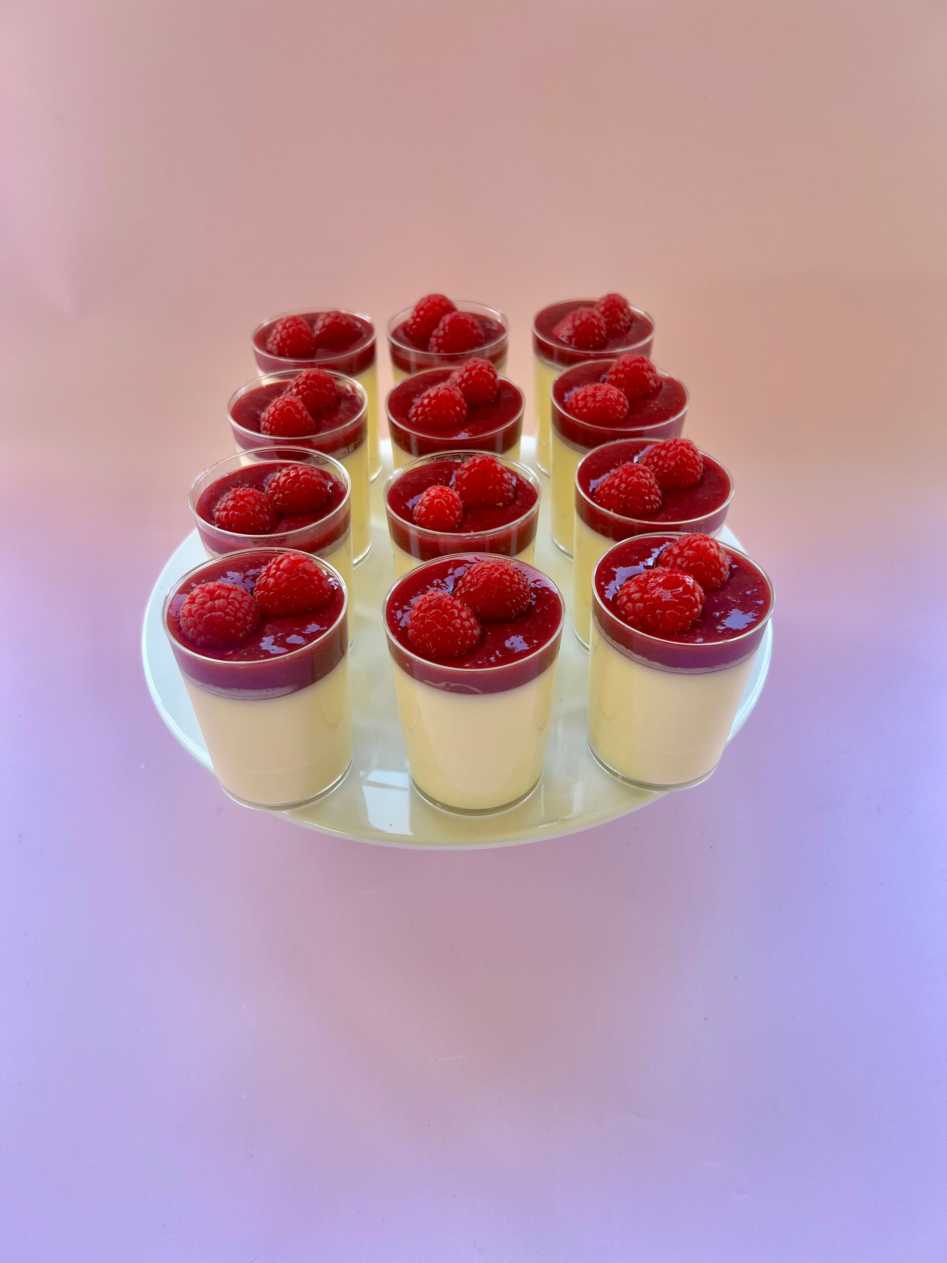 White Chocolate Raspberry Panna Cotta - Standard