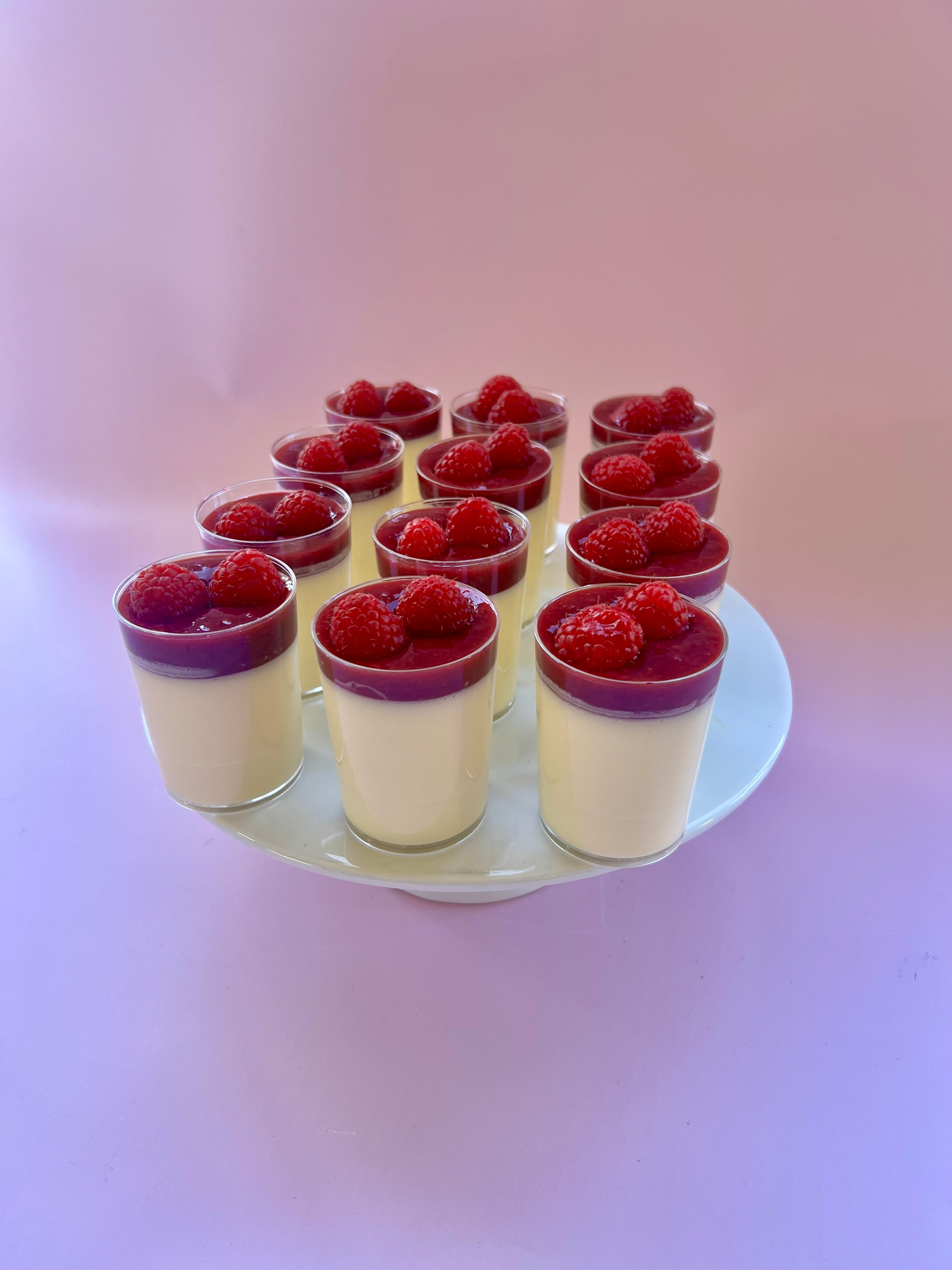 White Chocolate Raspberry Panna Cotta - Standard